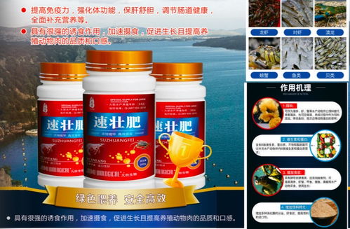 華佗醫(yī)藥水產(chǎn)促生長(zhǎng)解決方案 助力海參、蝦蟹與魚(yú)類高效養(yǎng)殖