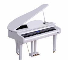 高科利花園專業(yè)運鋼琴 鋼琴運輸包裝一體化物流貨運服務全解析